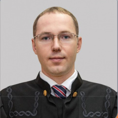Судья Протасов Денис Владимирович