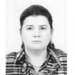 Судья Ринчино Елена Николаевна